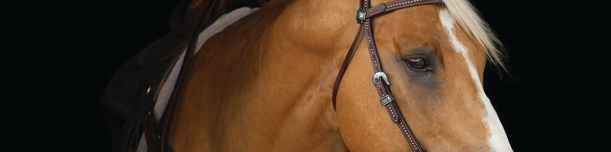 Weaver Leather Austin Browband Headstall