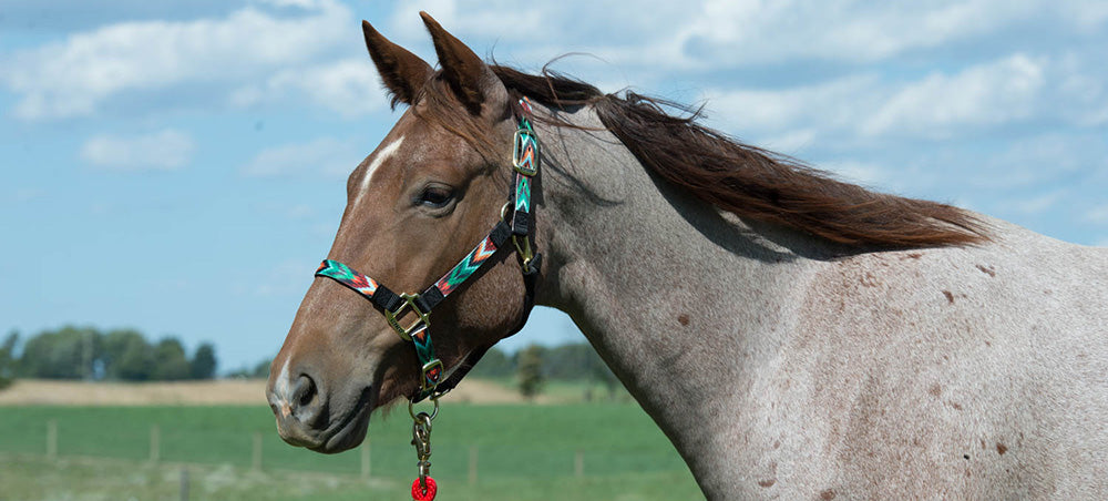 Patterned Adjustable Halter, 1