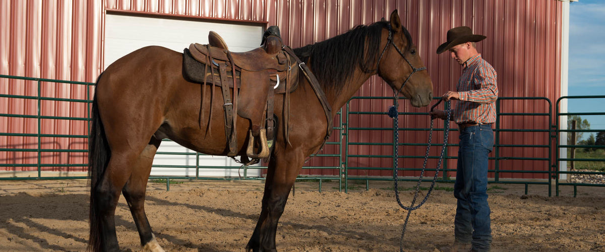 35' Flat Cotton Web Lunge Line with Bolt Snap & Rubber Stop - by Southwestern Equine (35', Black)