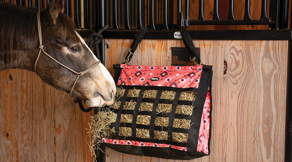 Mayan Coral Pattern - Weaver Equine™