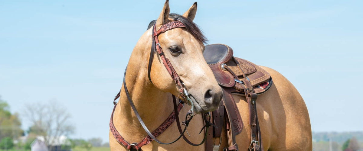 Turquoise Cross Design Tack Collection - Weaver Equine