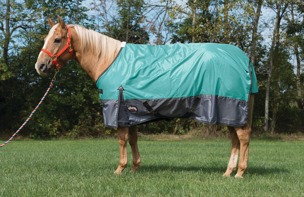 Ultimate Horse Blanket Size Guide: Find the Perfect Fit for Your Equine  Companion