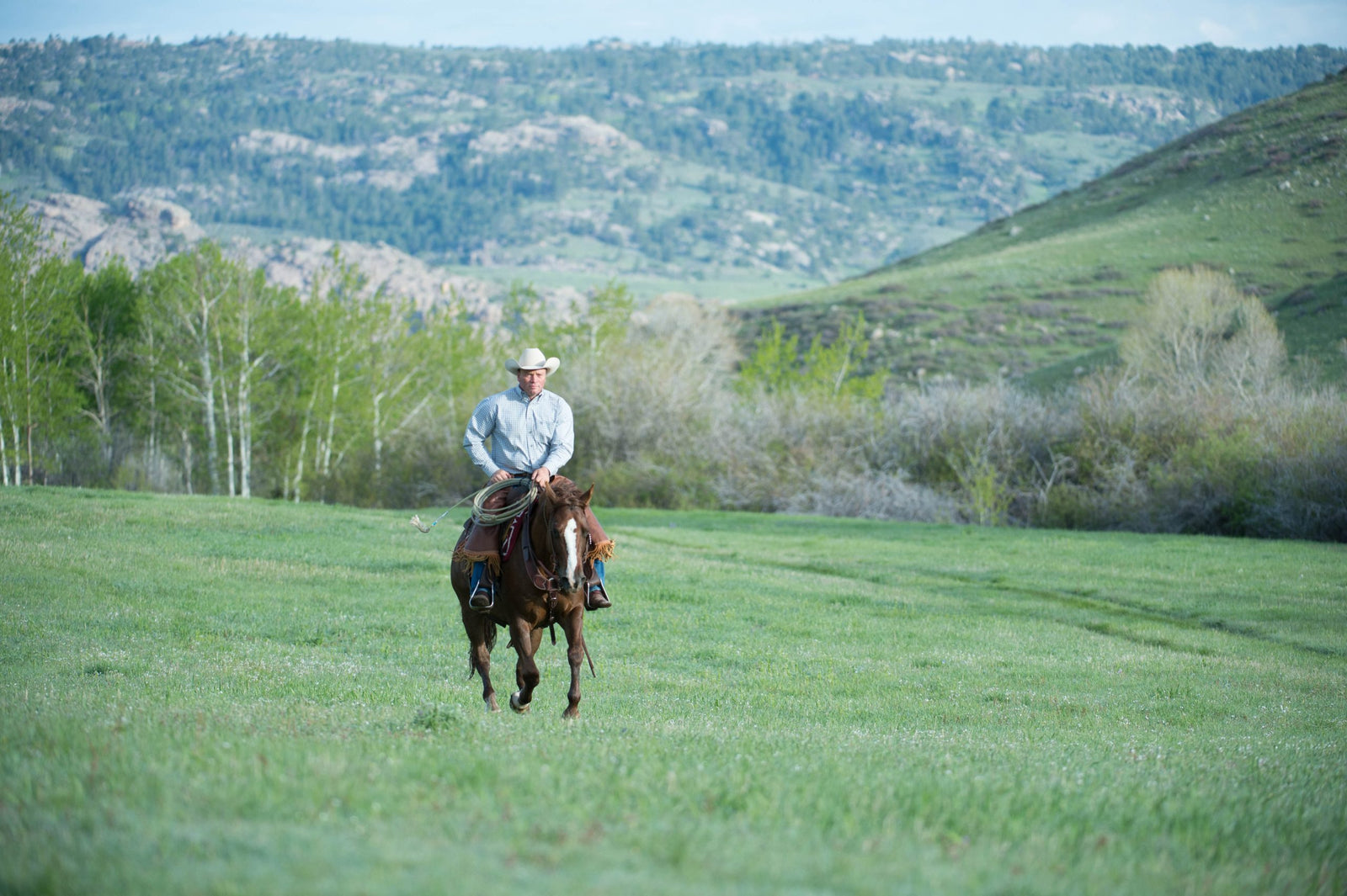 Loping with Confidence