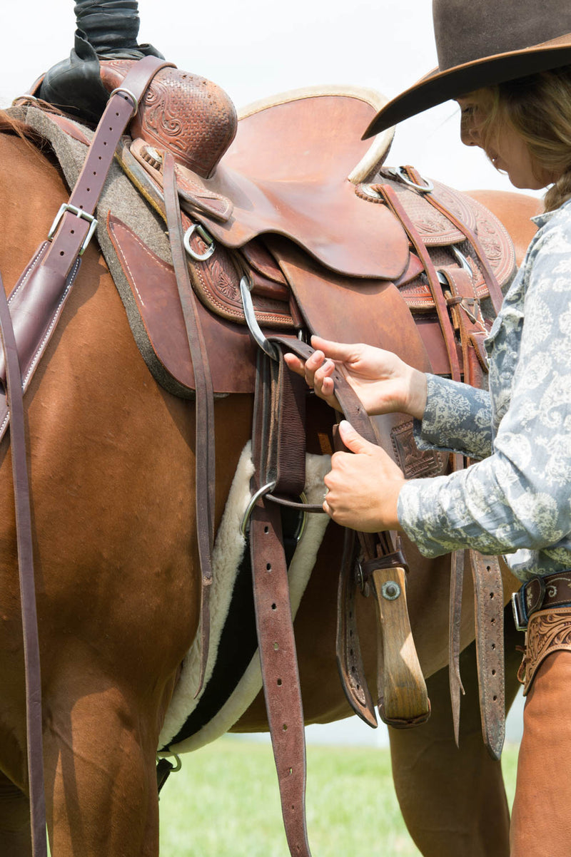 Do You Have the Right Size Cinch For Your Horse? – Weaver Equine