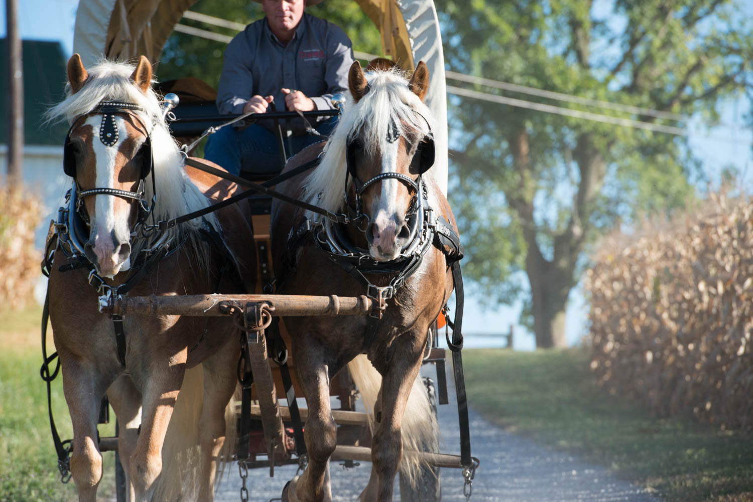 WEAVER LEATHER SUPPLY, Cleveland-Canton-Amish