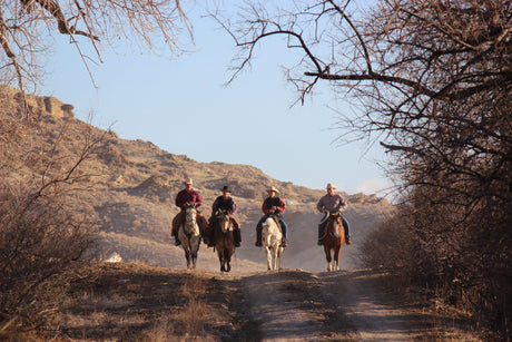 The Importance of Diligence in Horsemanship & Everyday Life