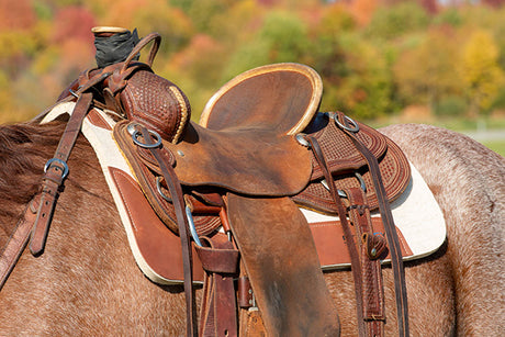 The Versatility of Felt in Synergy Saddle Pads