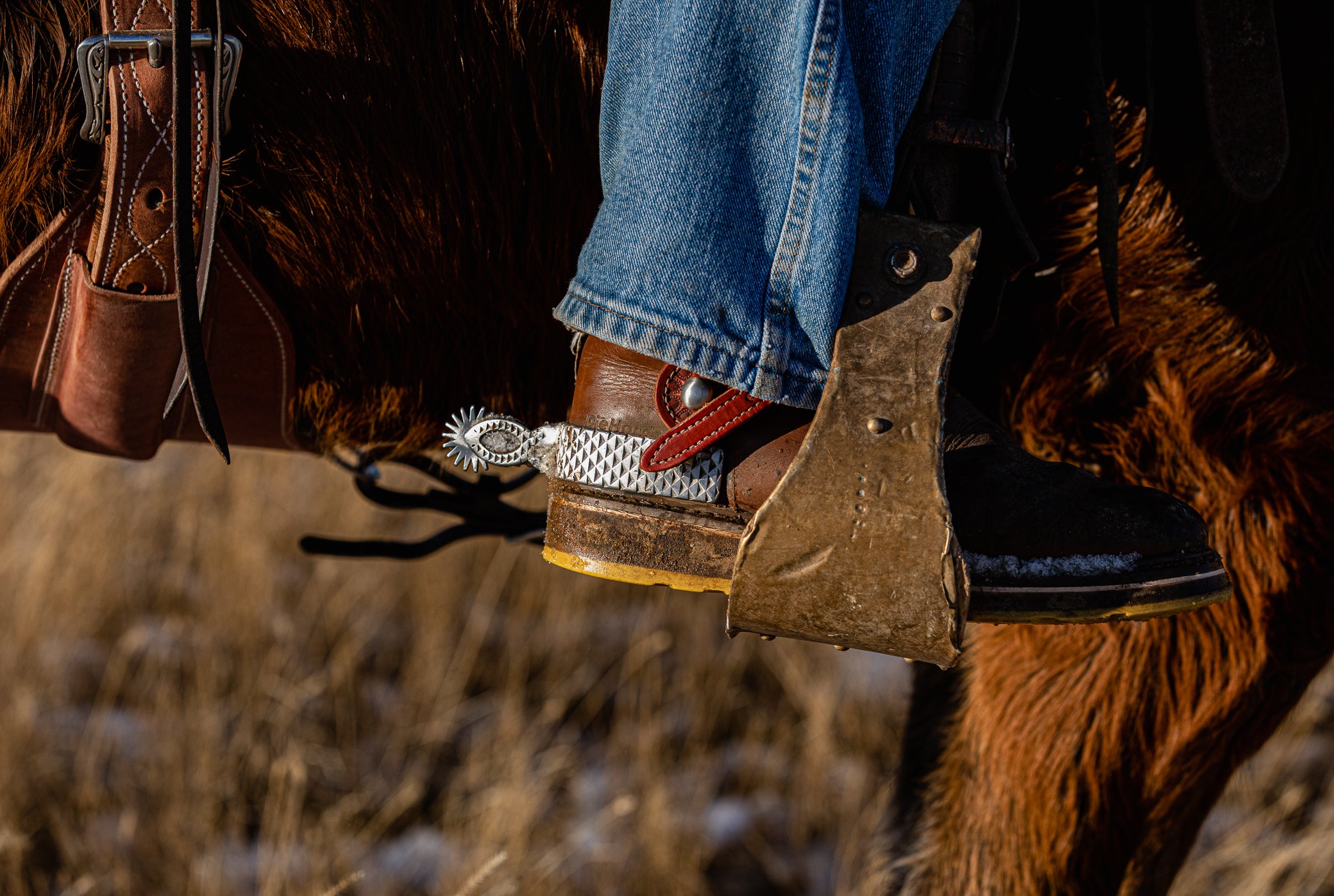 Cowboy shoes spurs online