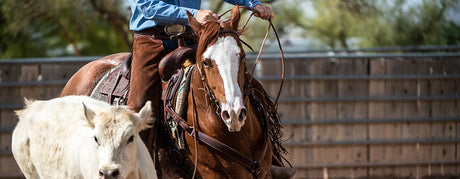 Horse Breast Collar