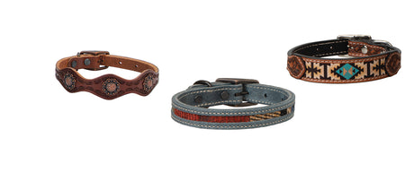 Dog Collars