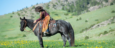 Horse Health Care