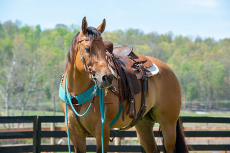 EcoLuxe® Reins