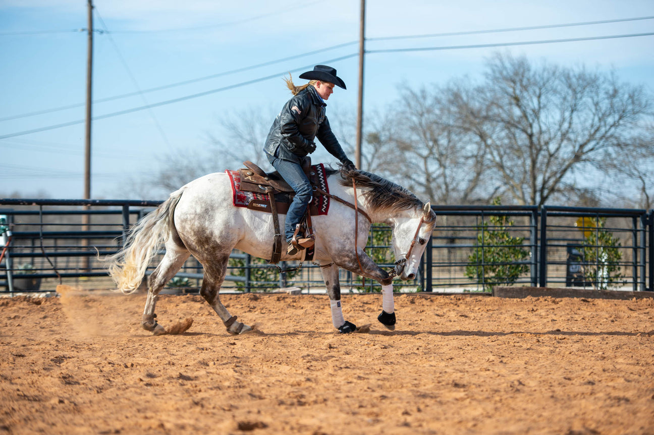 Horse Leg Wraps