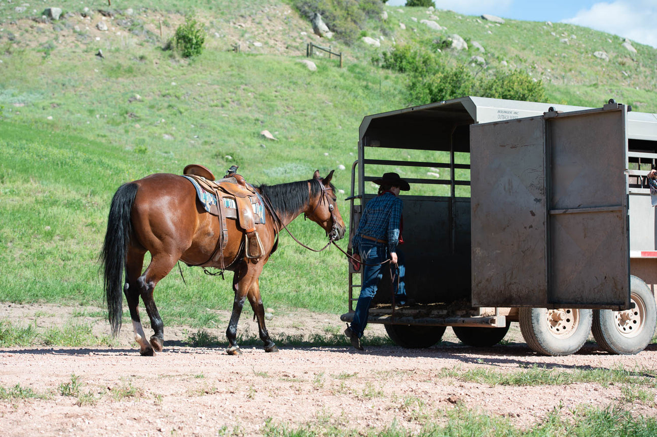 Horse Shipping Boots