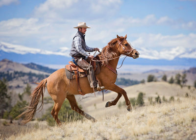 Weaver Equine - Ride the Brand