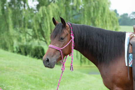 Braided Rope Halters