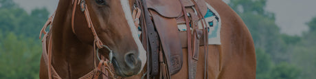 Buckstitch Horse Tack