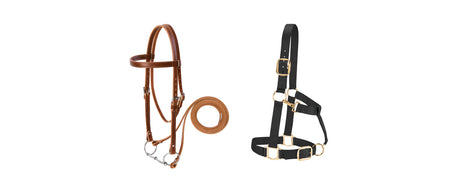 Draft Horse Tack