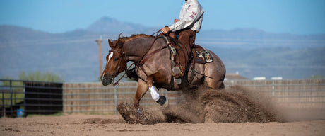 Synergy Leather Tack