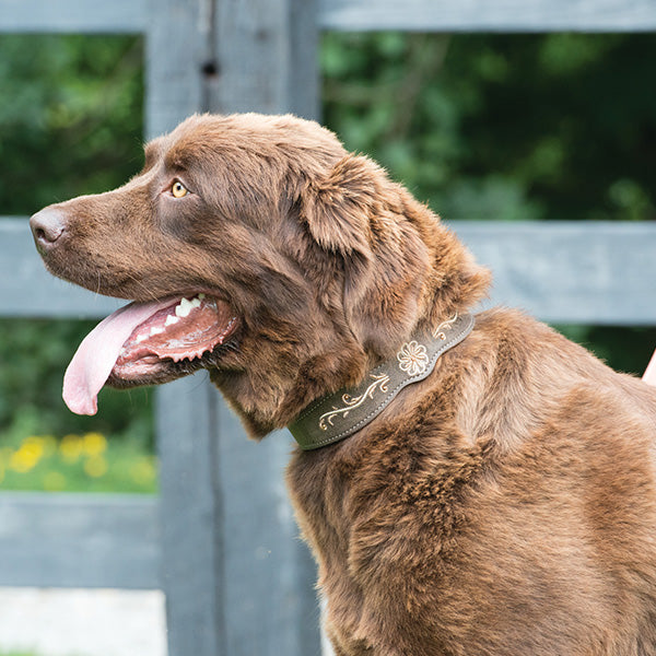 Country Charm Collar