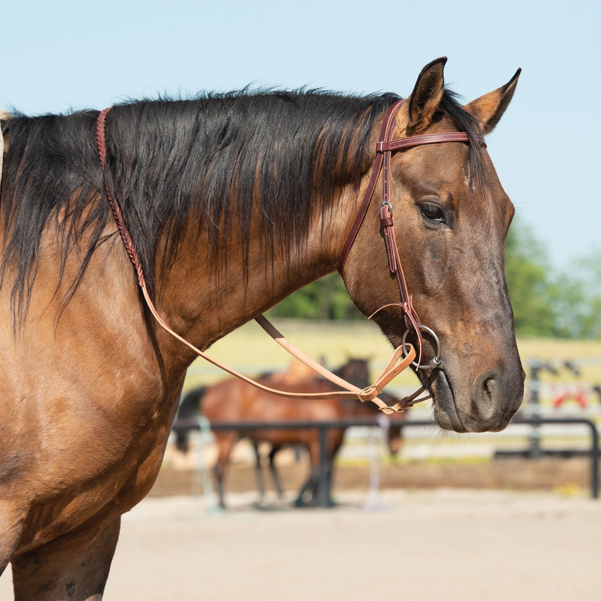 Latigo Leather Browband Headstall