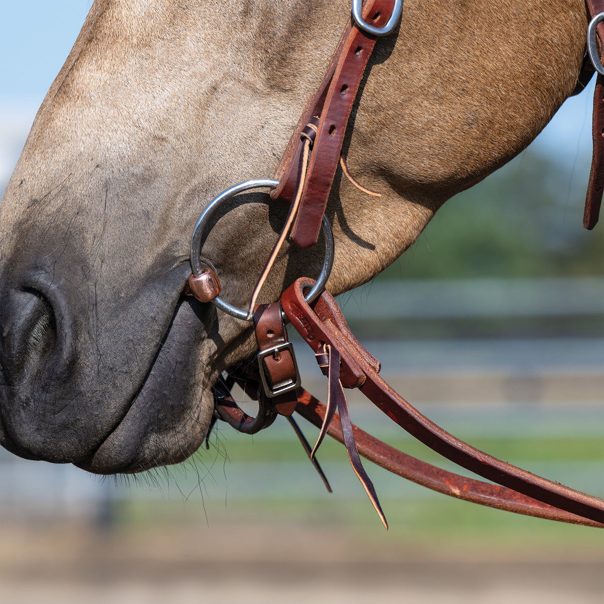 Professional Ring Snaffle Bit, 5" Copper Mouth