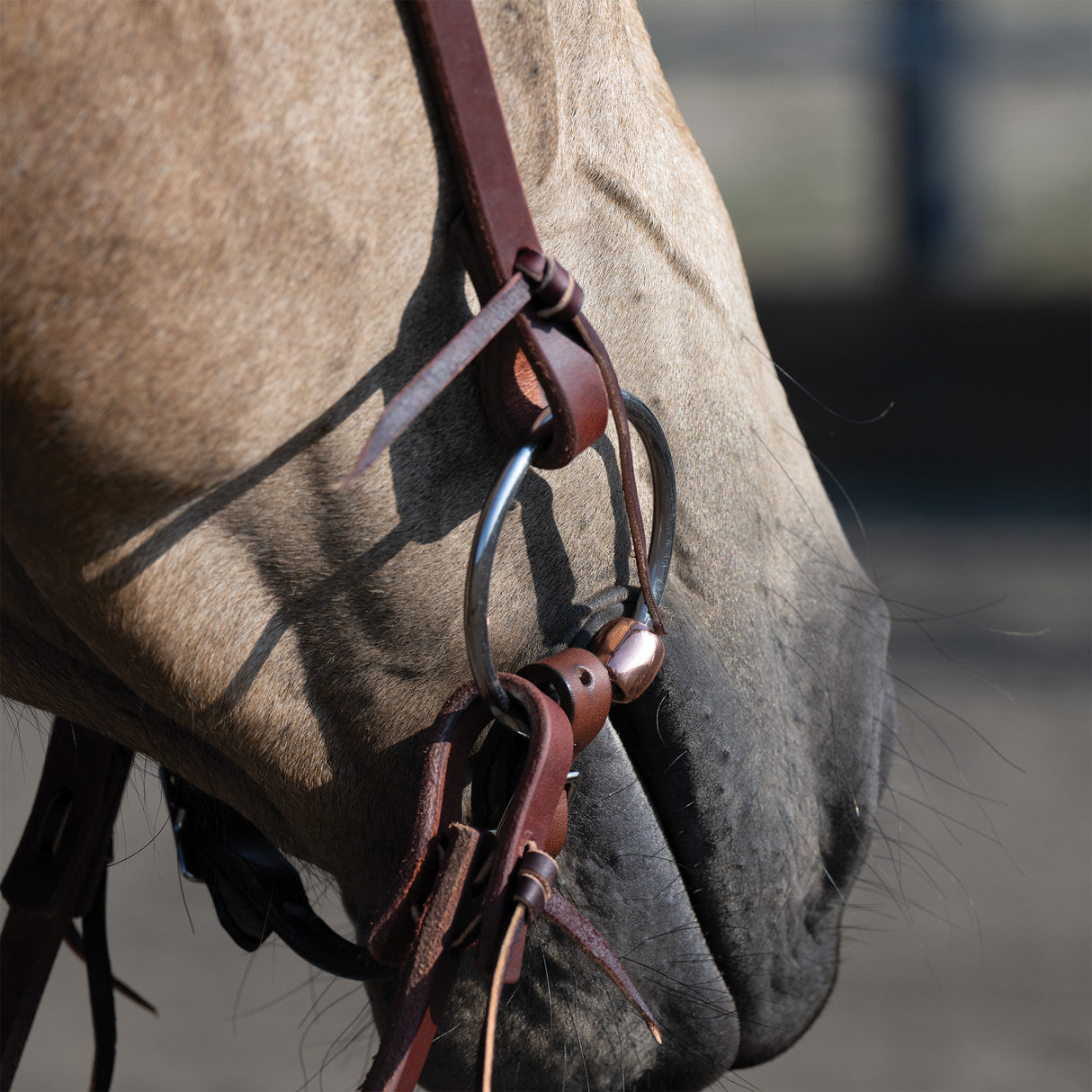 Professional Ring Snaffle Bit, 5" Copper Mouth