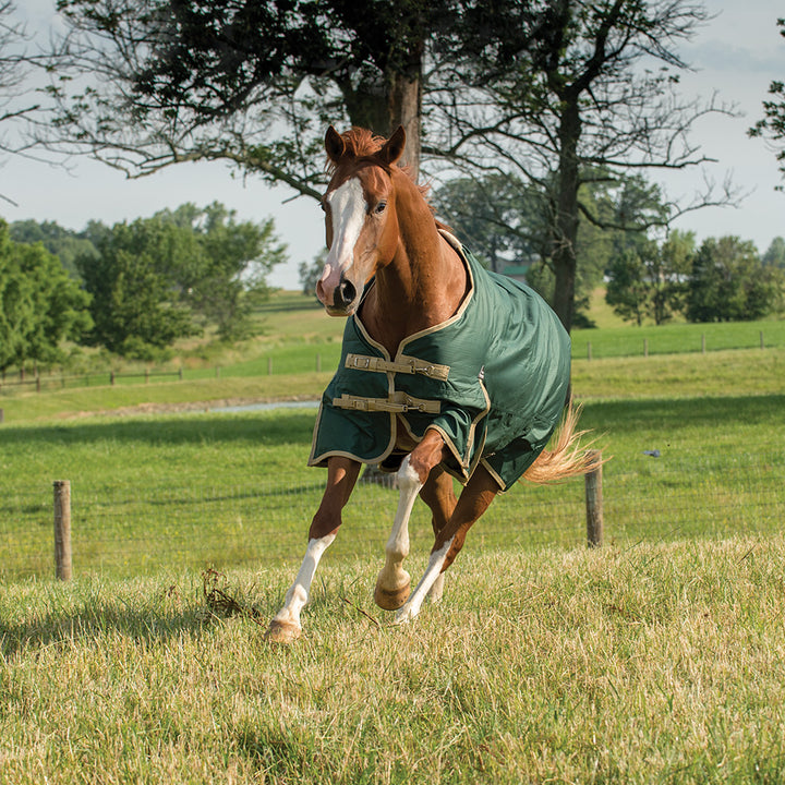 Horsewear – Weaver Equine