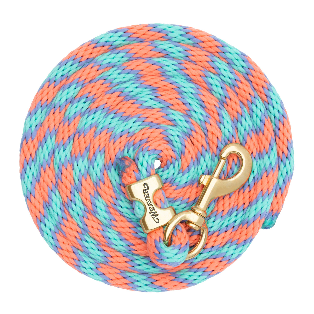 Poly Lead Rope with a Solid Brass 225 Snap