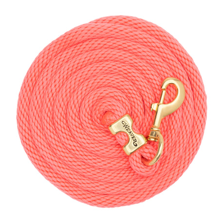 Poly Lead Rope with a Solid Brass 225 Snap