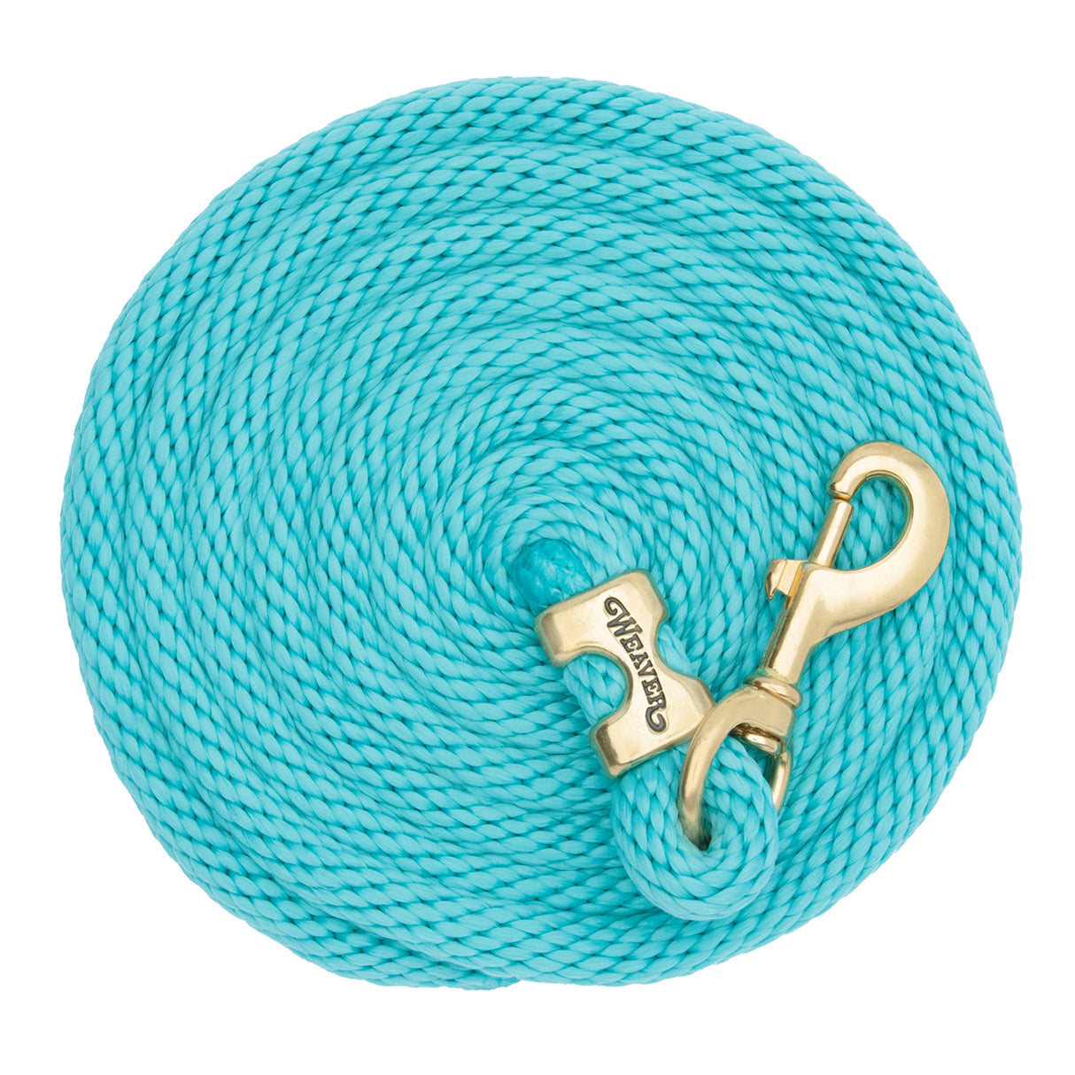 Poly Lead Rope with a Solid Brass 225 Snap