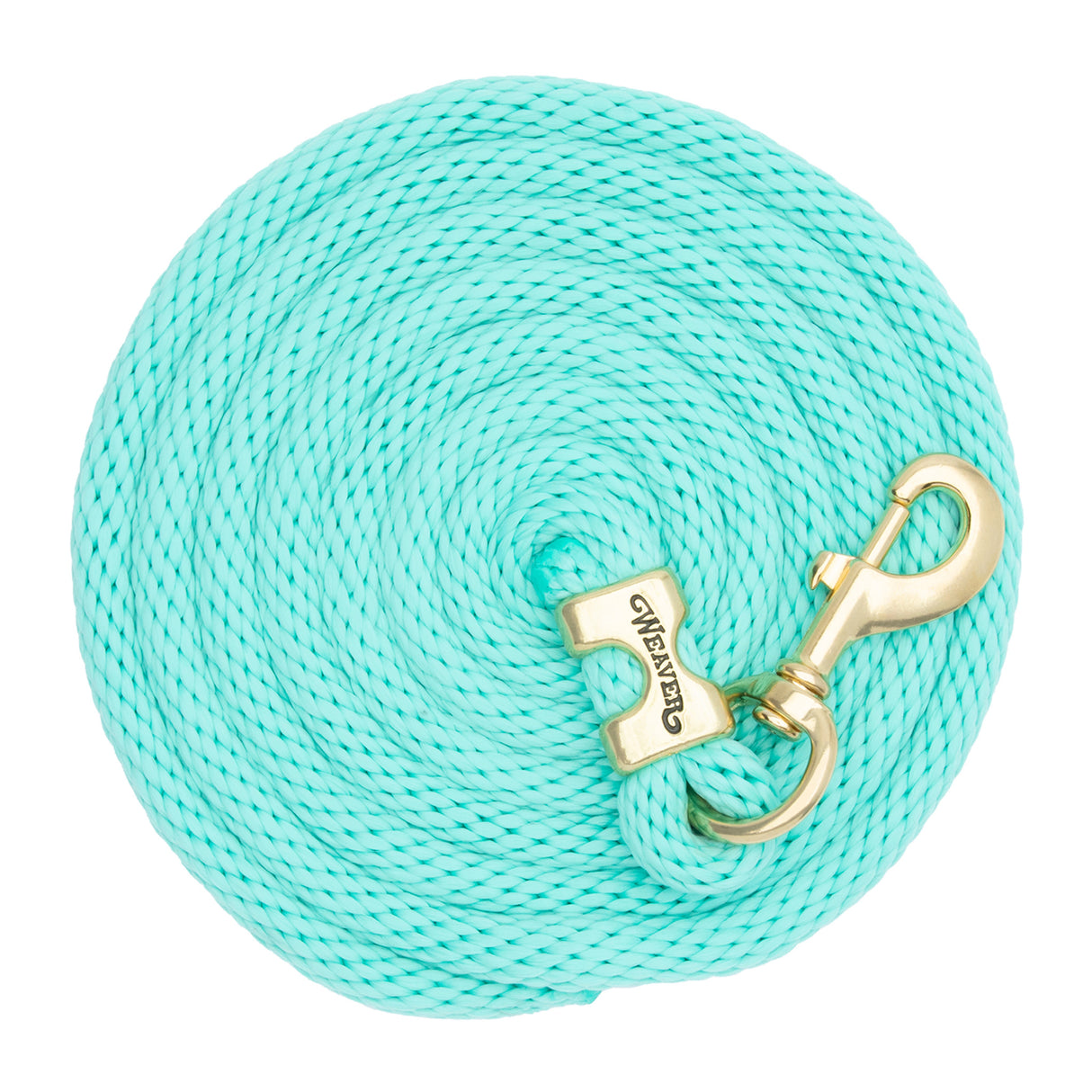 Poly Lead Rope with a Solid Brass 225 Snap