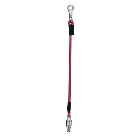 Bungee Trailer Tie, Pink Fusion