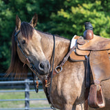 Brahma Webb® Browband Headstall