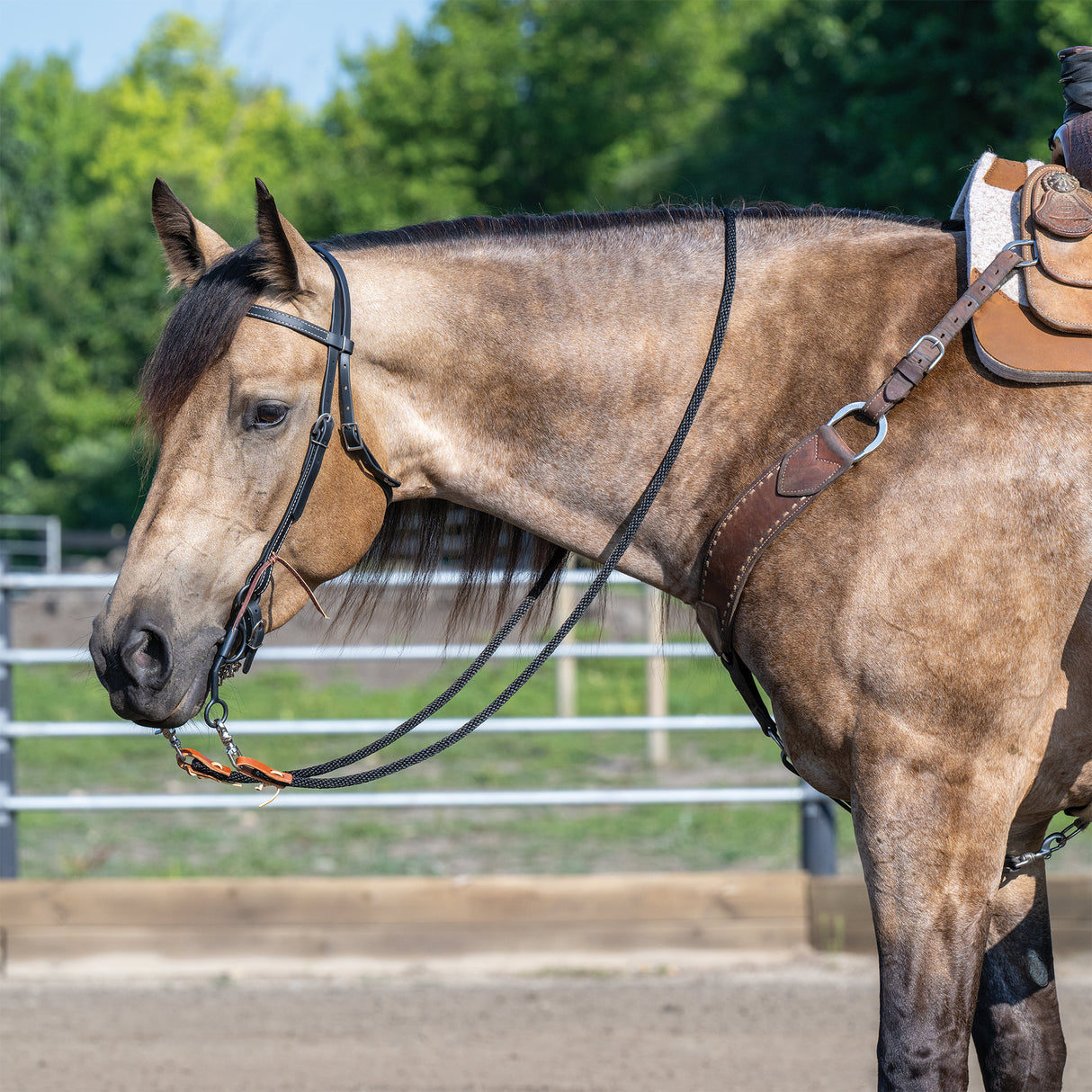 Brahma Webb® Browband Headstall