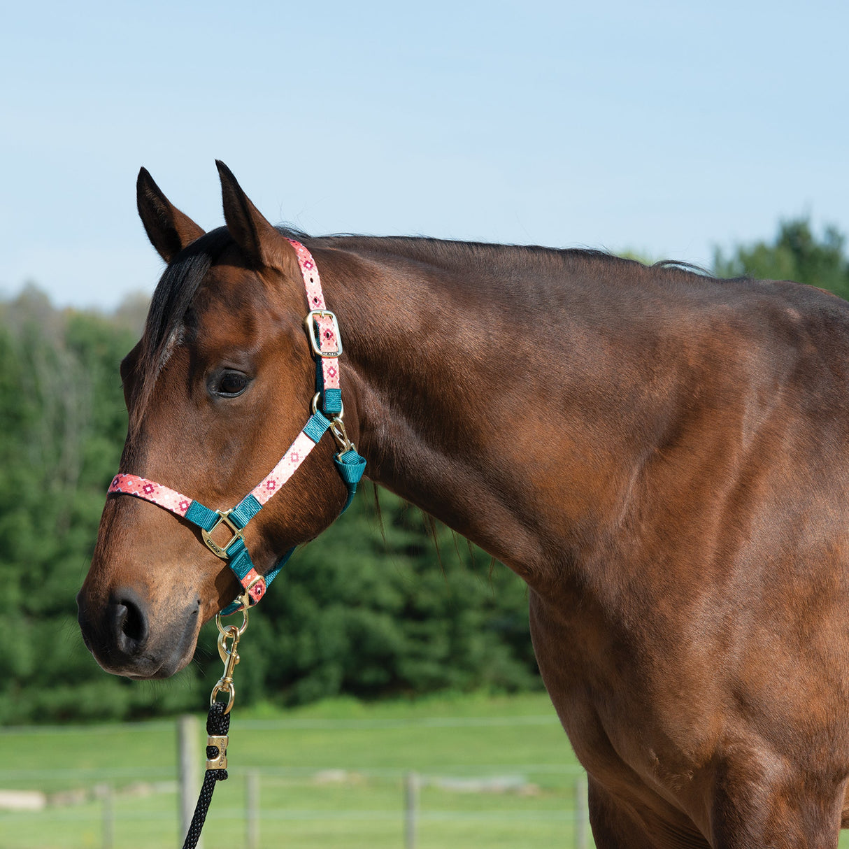 Patterned Adjustable Halter, 1"