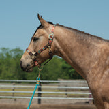 Patterned Adjustable Halter, 1"