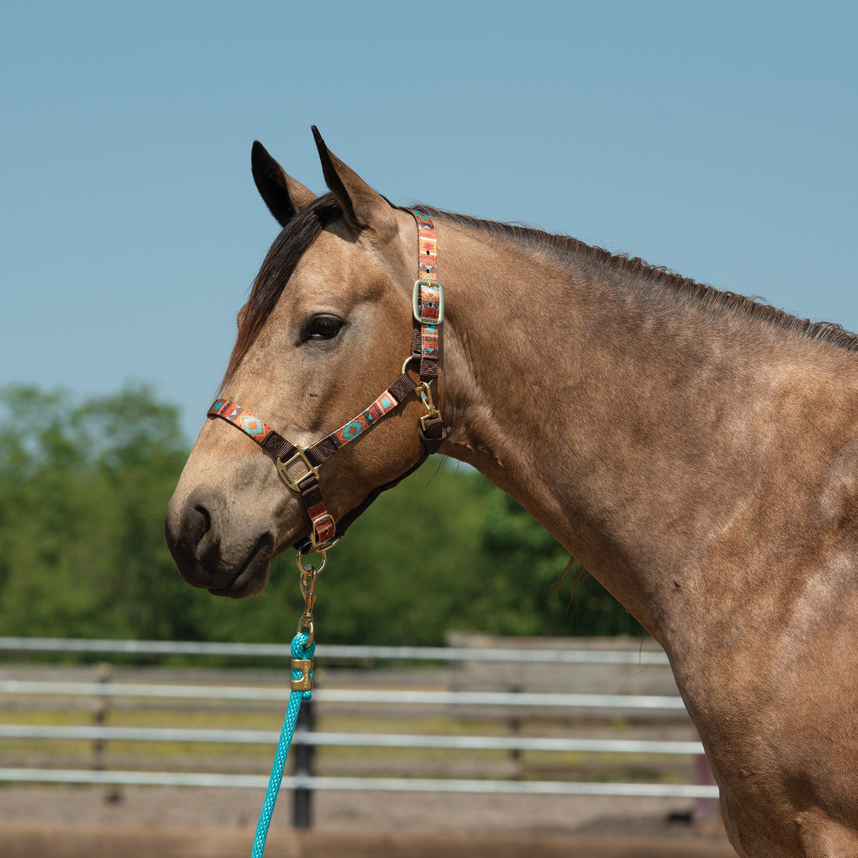 Patterned Adjustable Halter, 1"