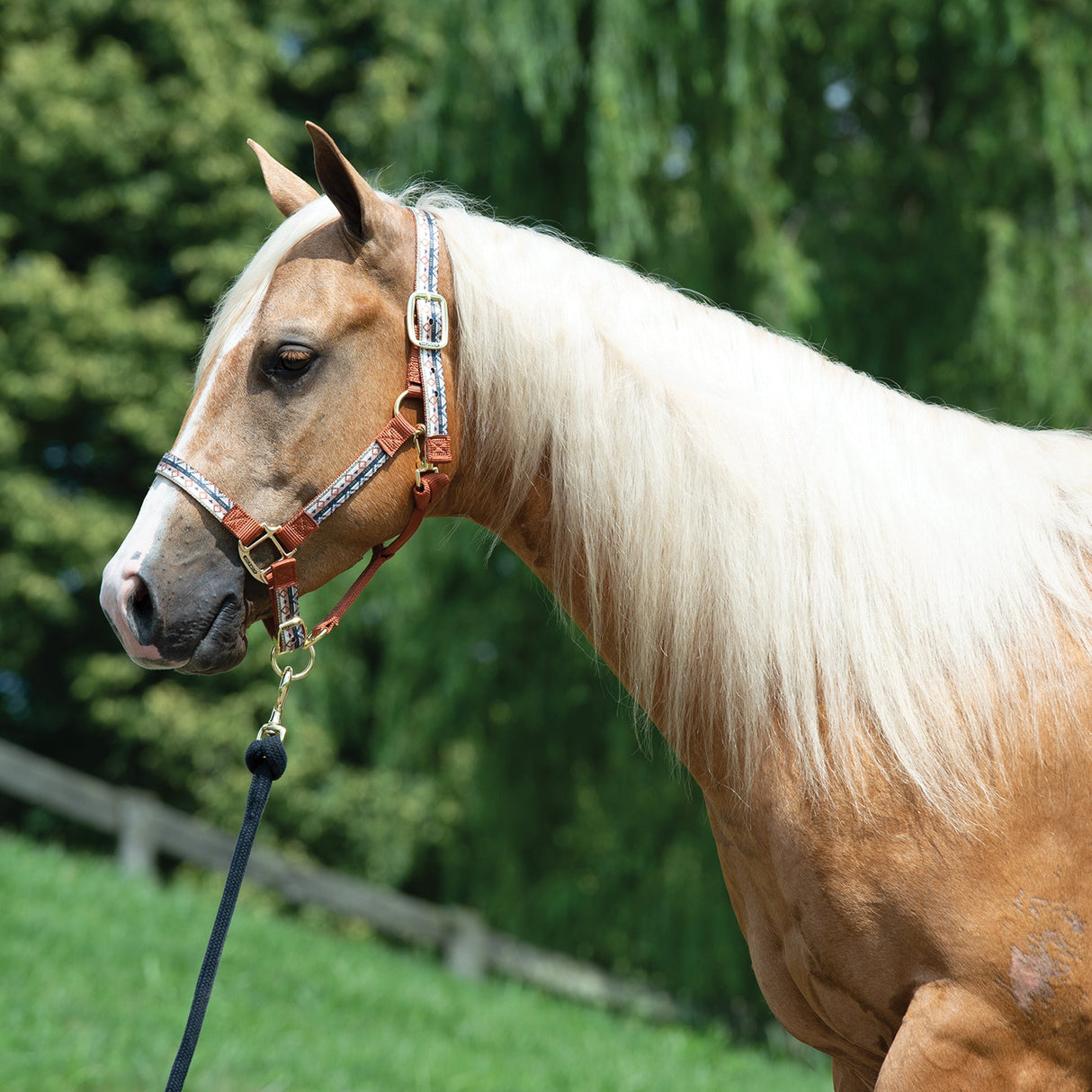 Patterned Adjustable Halter, 1"