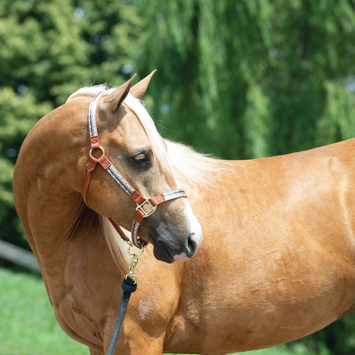 Patterned Adjustable Halter, 1"