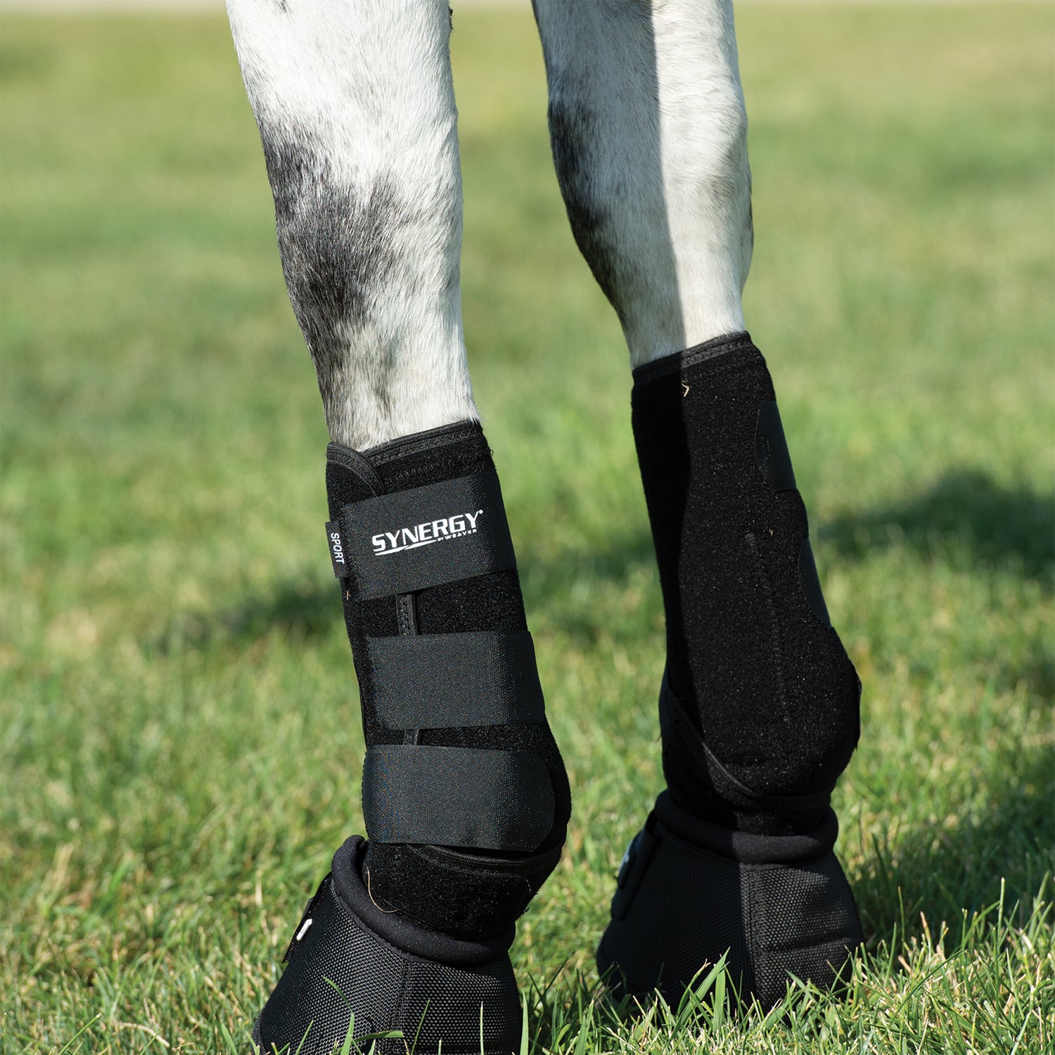 Synergy® Sport Athletic Boots, Front, Pair - Weaver Leather Equine ...