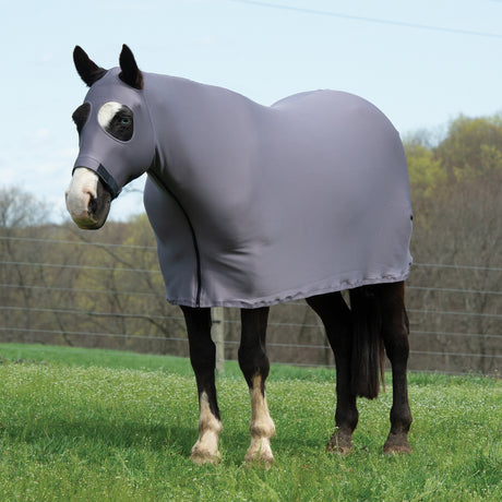 Synergy® Powered by Coolcore® Equine Lycra® Sheet