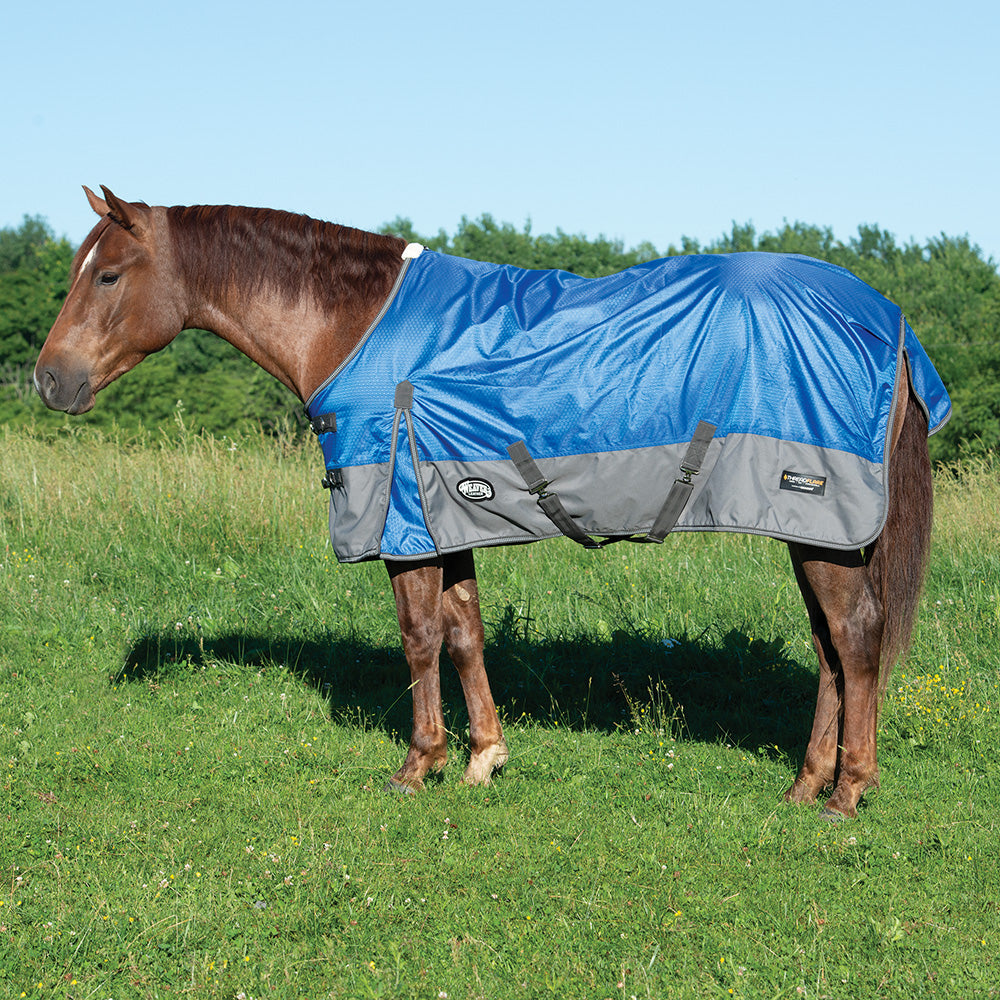 Blanketing Made Easy – Weaver Equine