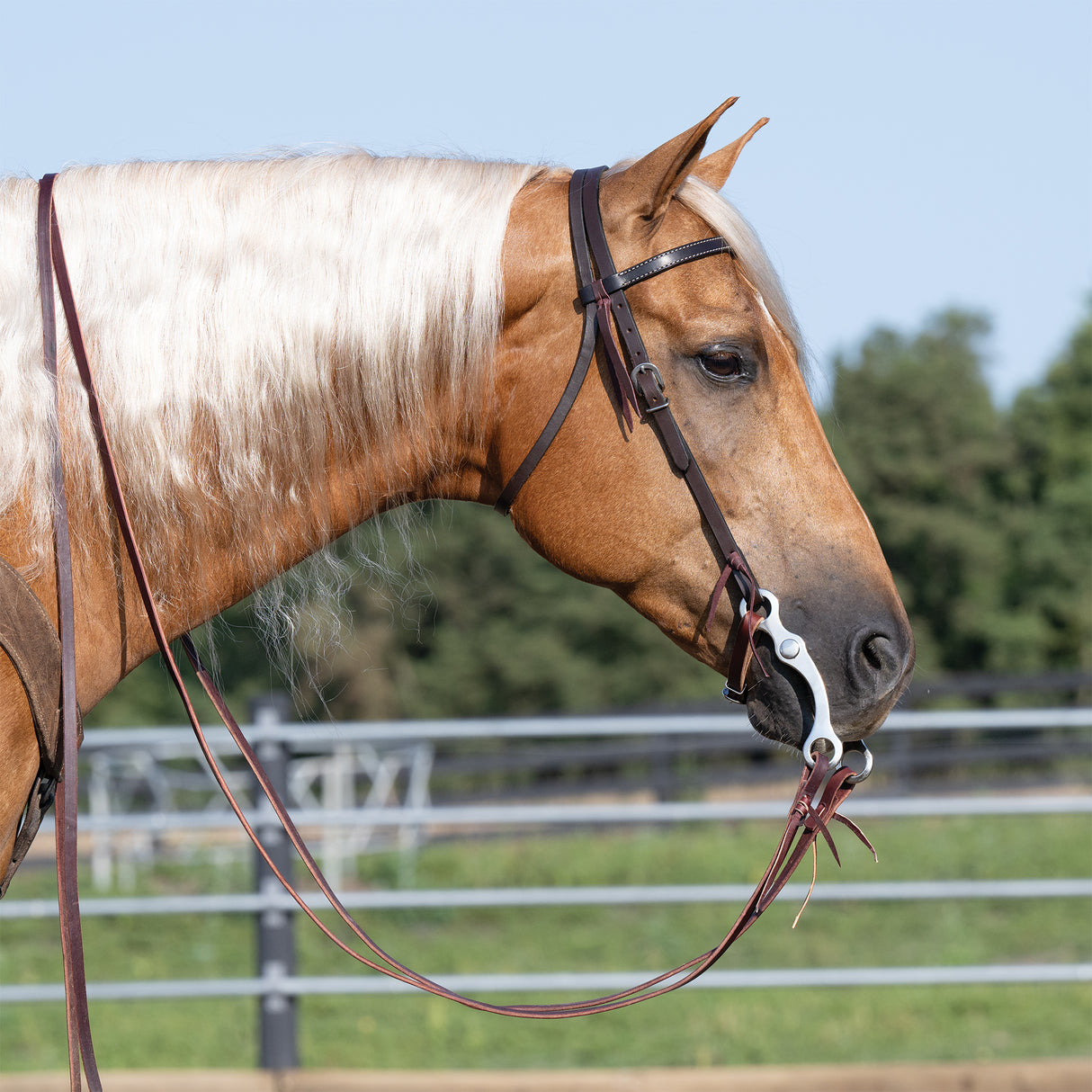 Turquoise Cross Skirting Leather 5/8" Browband Headstall