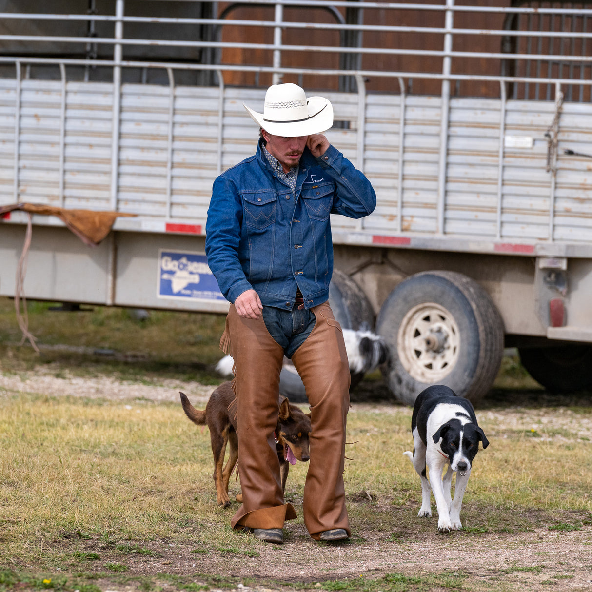 Cowboy Chaps