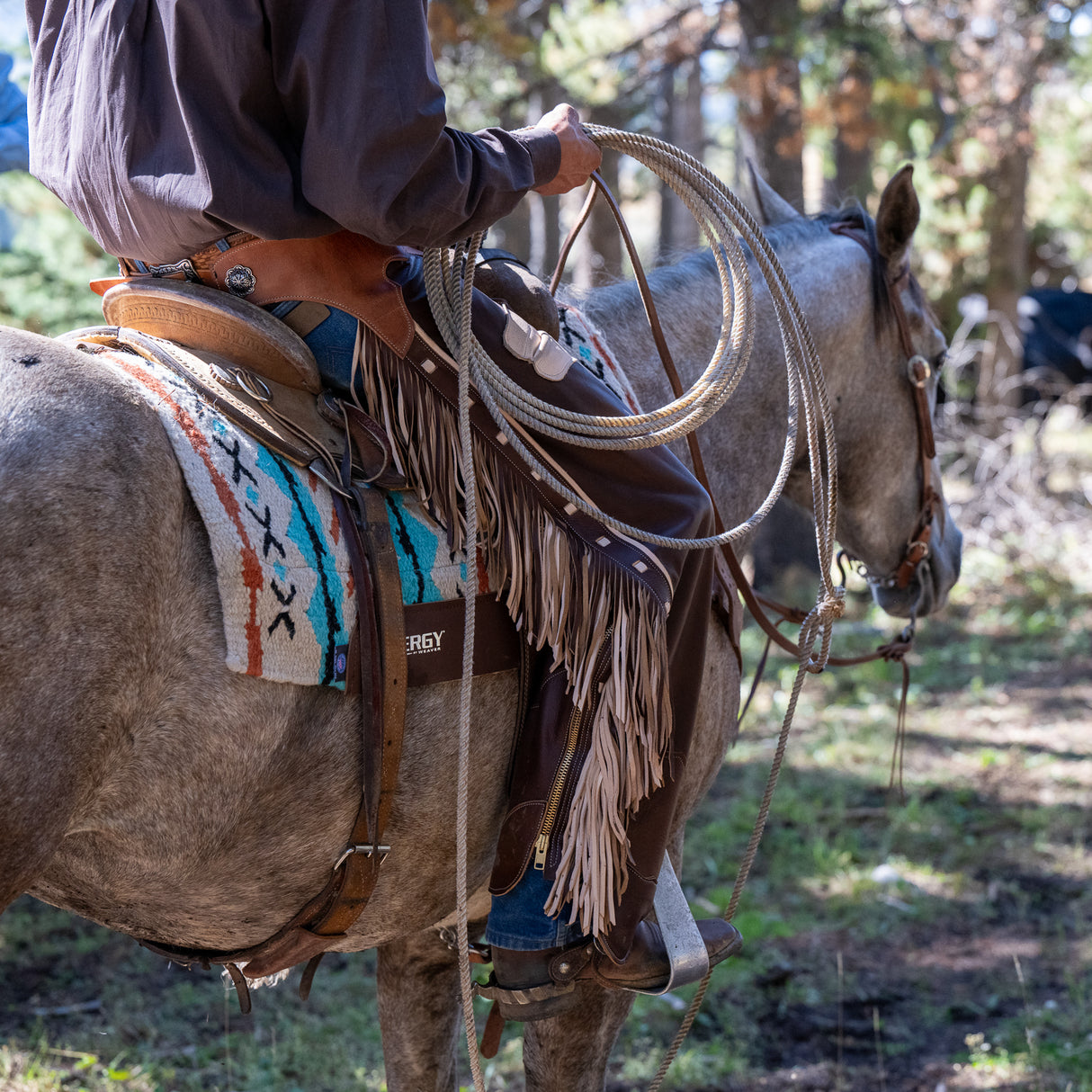 Premium Cowboy Chaps