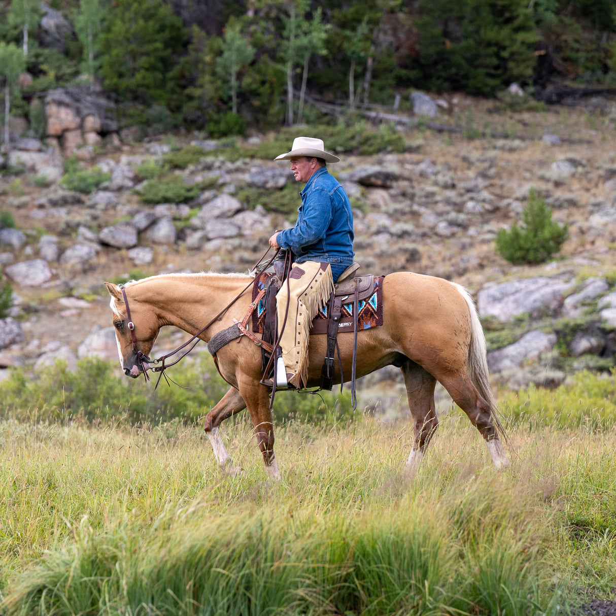 Premium Cowboy Chaps