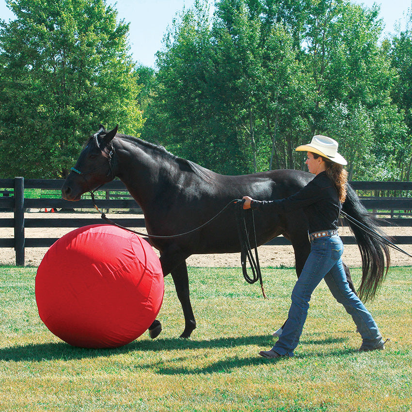 Stacy Westfall Activity Ball