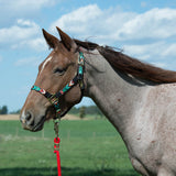 Patterned Adjustable Halter, 1"