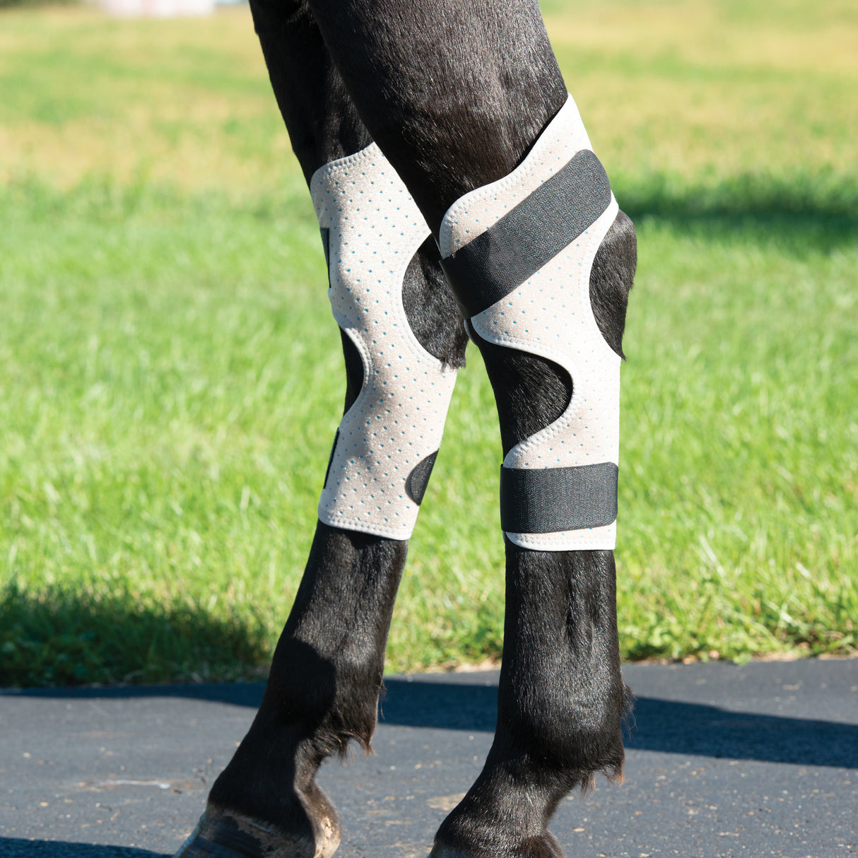 Synergy® Powered by Coolcore® Icing & Cooling Hock Wraps